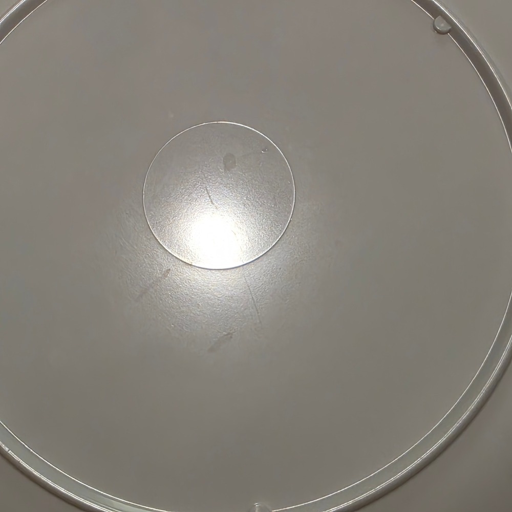 Melamine Dinner Plates 9" White Red Rose‎ Floral Set of 7 Cottagecore - Picture 5 of 5